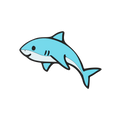 Shark